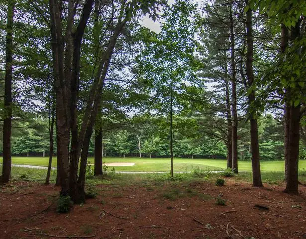0000-Unit 40 Trailside DR, Thompsonville, MI 49683 - #1