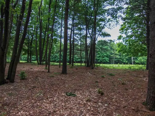 0000-Unit 41 Trailside DR, Thompsonville, MI 49683