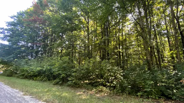 Lot 466 Northwood DR, Elmira, MI 49730