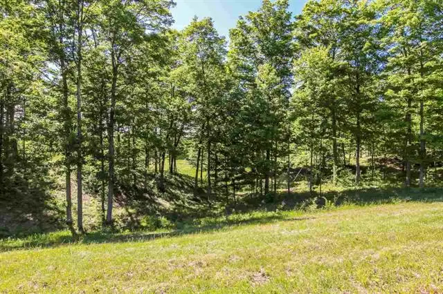 0012 Heather Ridge, Beulah, MI 49617 - #3