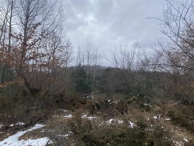 Lot 33 Scenic Hills DR, Williamsburg, MI 49690 - #2