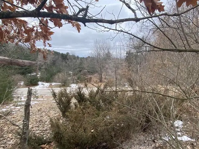Lot 33 Scenic Hills DR, Williamsburg, MI 49690 - #3