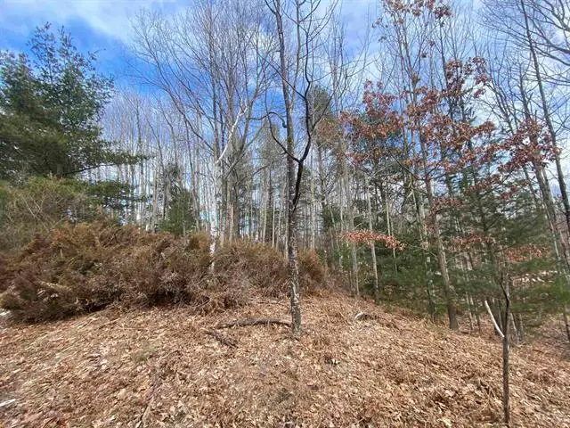 Lot 31 Scenic Hills DR, Williamsburg, MI 49690 - #1
