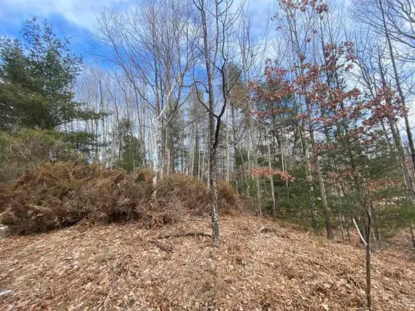 Lot 31 Scenic Hills DR, Williamsburg, MI 49690
