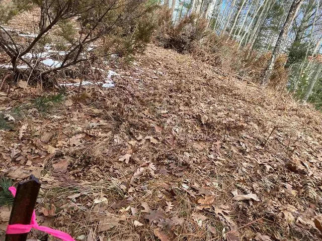 Lot 31 Scenic Hills DR, Williamsburg, MI 49690 - #3