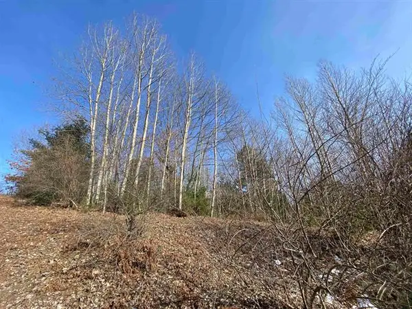 Lot 34 Scenic Hills DR, Williamsburg, MI 49690