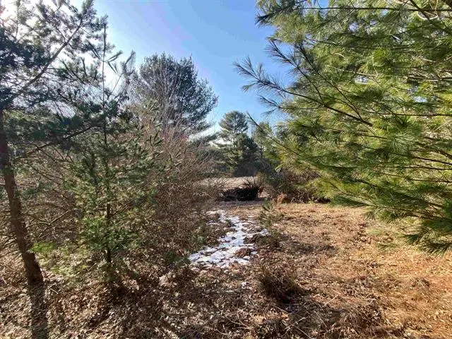 Lot 34 Scenic Hills DR, Williamsburg, MI 49690 - #3