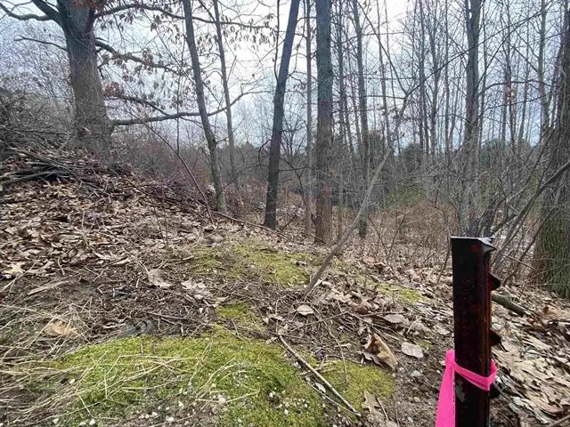 Lot 38 Kirkridge DR, Williamsburg, MI 49690 - #3