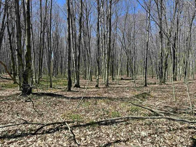 TBD West Side, Beaver Island, MI 49782 - #3