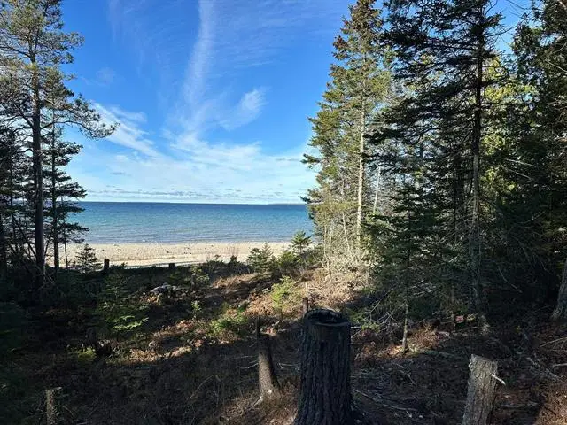 32010 Mrs Reddings TRL, Beaver Island, MI 49782 - #1