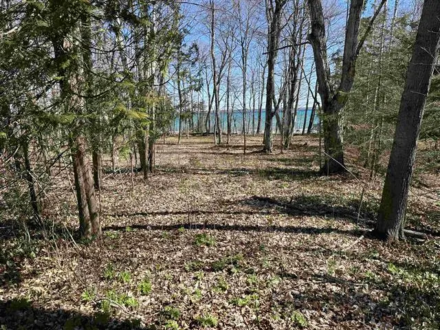 TBD Beaver Island RD, Saint James, MI 49782 - #2