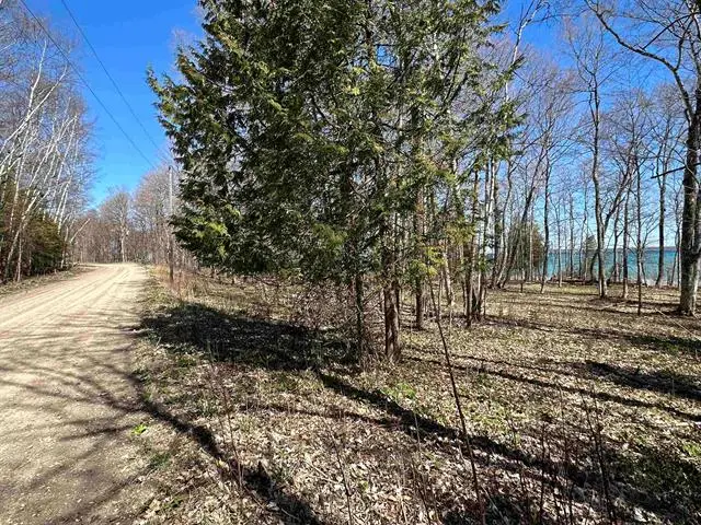 TBD Beaver Island RD, Saint James, MI 49782 - #3