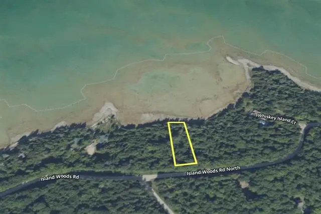 TBD Island Woods RD, Saint James, MI 49782 - #2