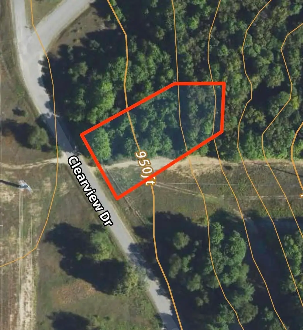 Lot 202 Clearview, Bellaire, MI 49615 - #1