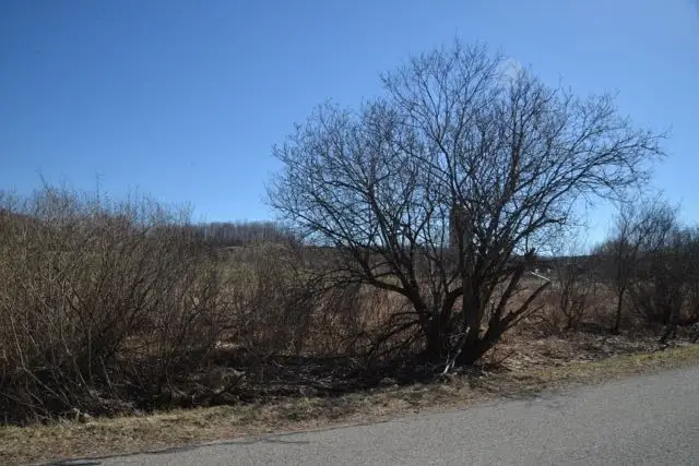 0 Wilson RD, East Jordan, MI 49727 - #2