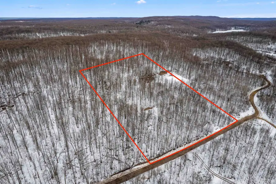 00 Valleyview, Elmira, MI 49730 - #3