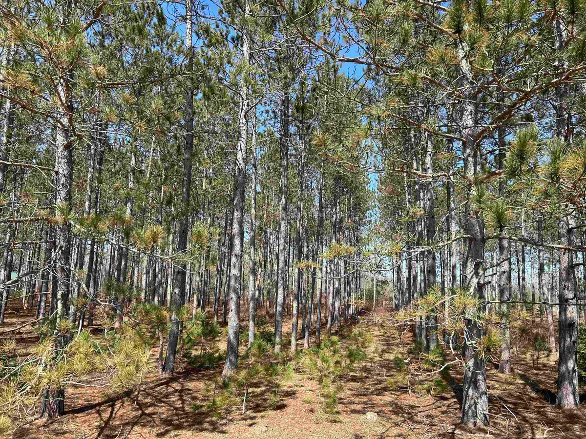 lot 4 Meadow LN, Thompsonville, MI 49683 - #1