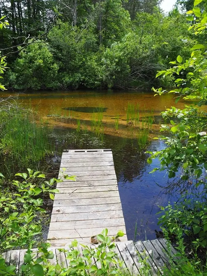 lot 4 Meadow LN, Thompsonville, MI 49683 - #2
