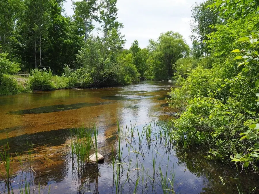 lot 4 Meadow LN, Thompsonville, MI 49683 - #3