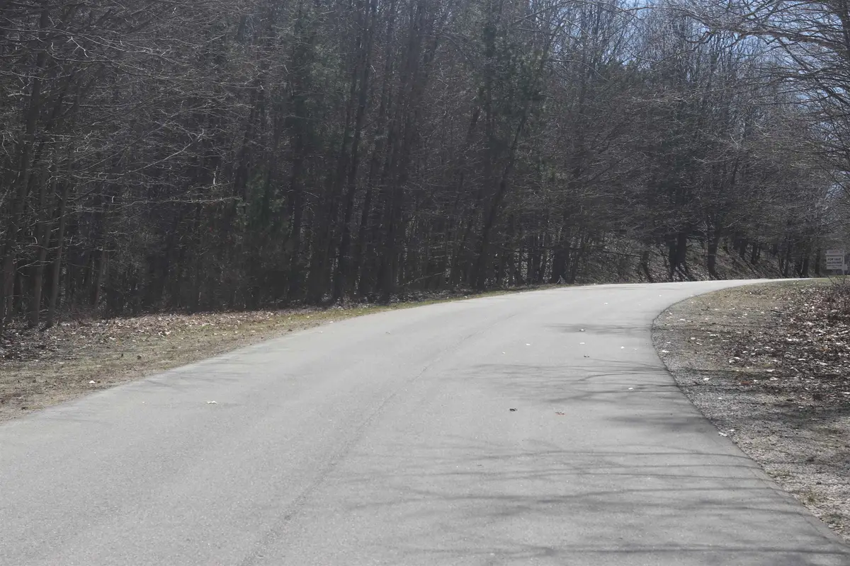 Lot 21 Crystal View, Beulah, MI 49617 - #1