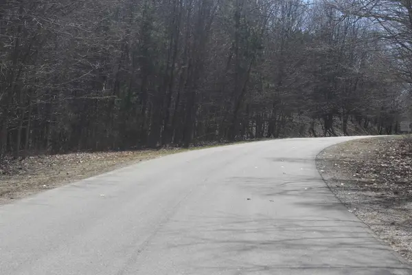 Lot 21 Crystal View, Beulah, MI 49617