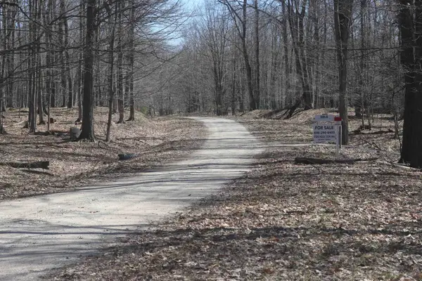 lot 4 Crystal View CMNS, Beulah, MI 49617