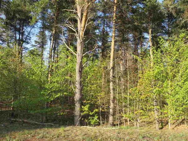 10.5 Spruce Hollow, FifeLake, MI 49633