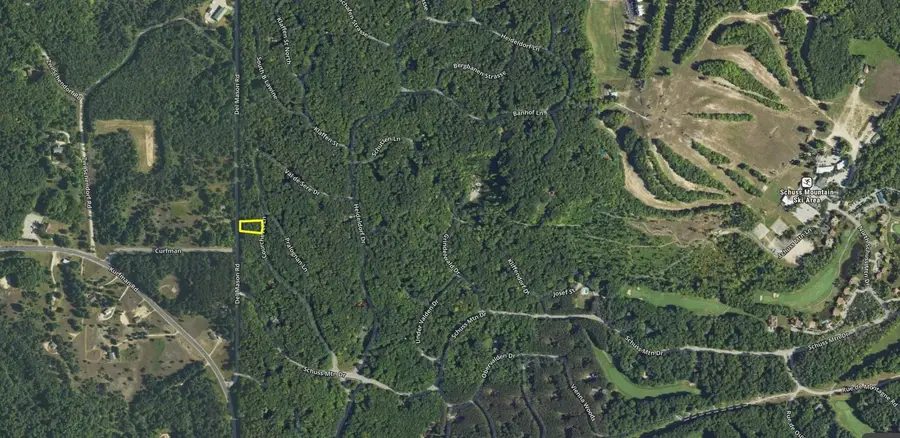 Lot 38 Courchevel, Bellaire, MI 49615 - #2