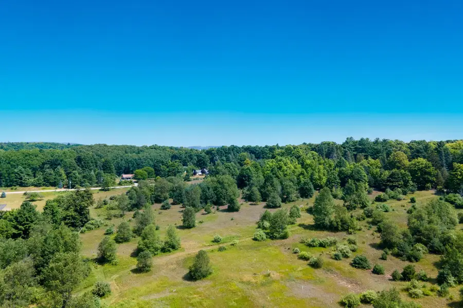 000 South ST, Benzonia, MI 49616 - #3