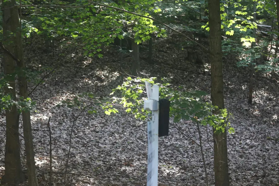 Lot 20 Crystal View CMNS, Beulah, MI 49617 - #2