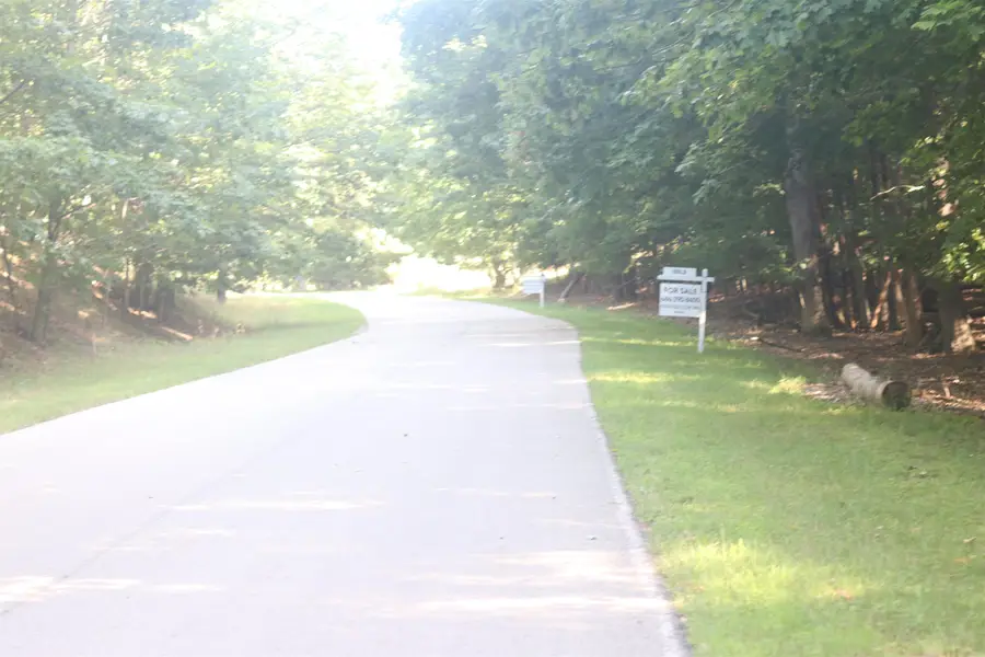 Lot 20 Crystal View CMNS, Beulah, MI 49617 - #3