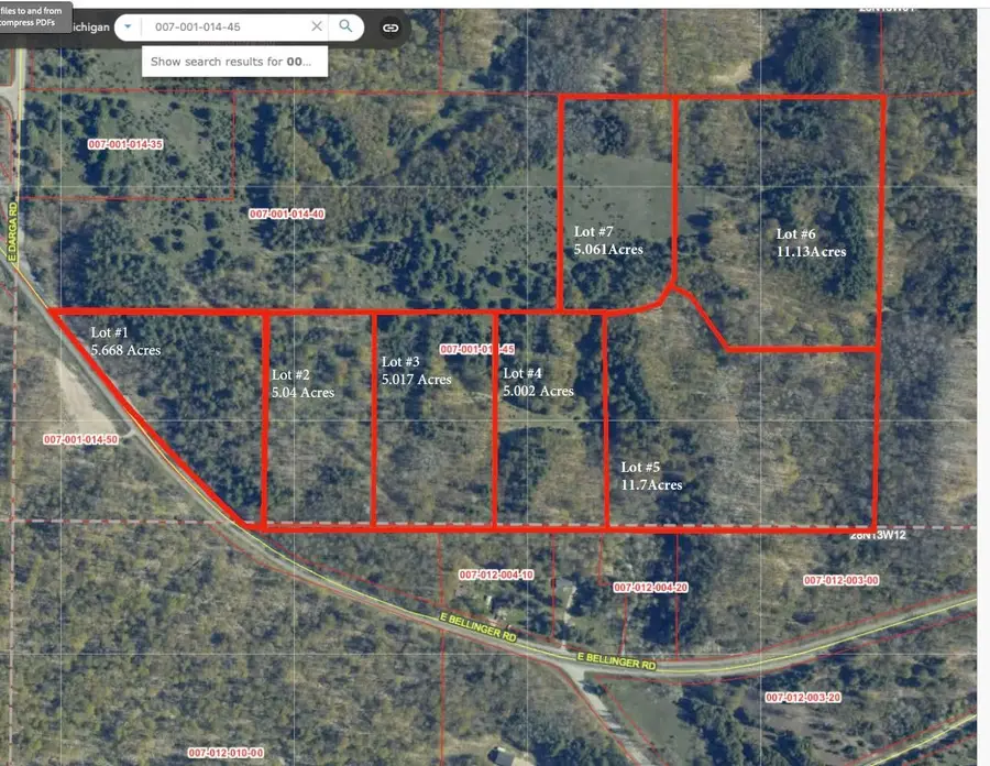 Lot #1 E Bellinger, Cedar, MI 49621 - #2