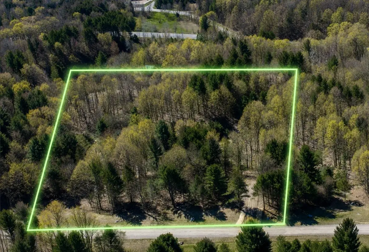 Lot #4 E Bellinger RD, Cedar, MI 49621 - #1