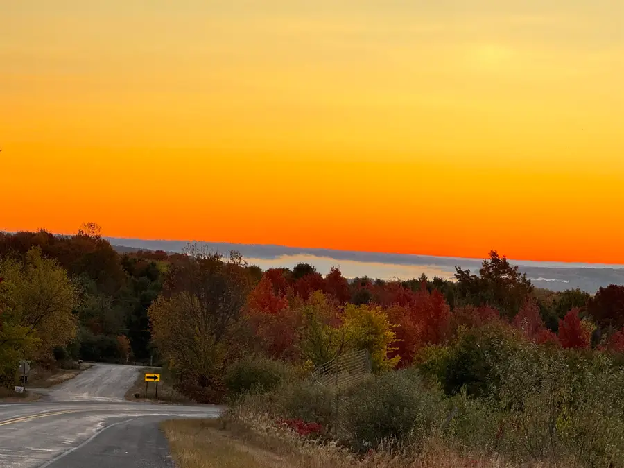 Lot #4 E Bellinger RD, Cedar, MI 49621 - #2