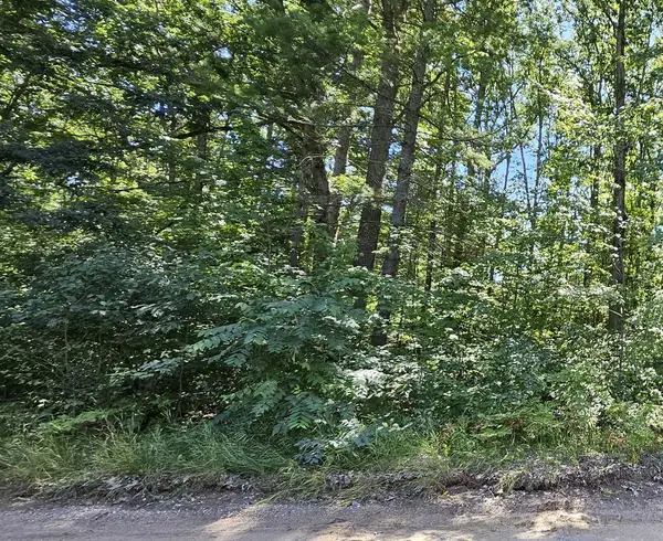 00 Merritt, FifeLake, MI 49633
