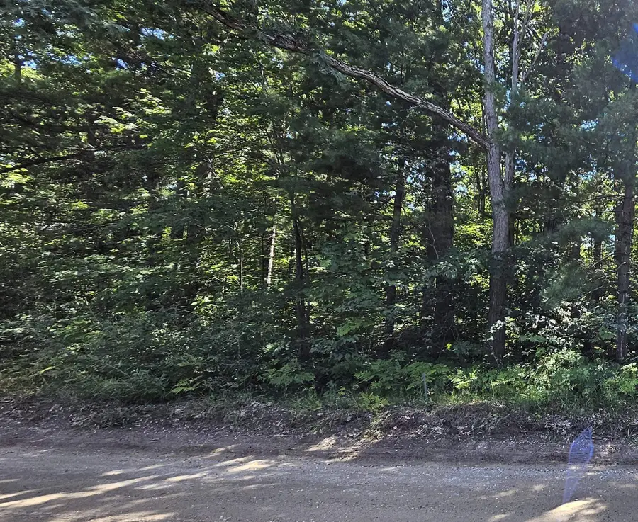00 Merritt, Fifelake, MI 49633 - #3
