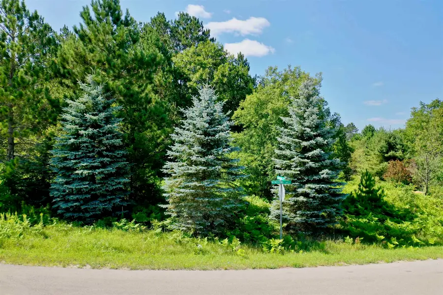 Lot 16 Windsong LN, Cadillac, MI 49601 - #3