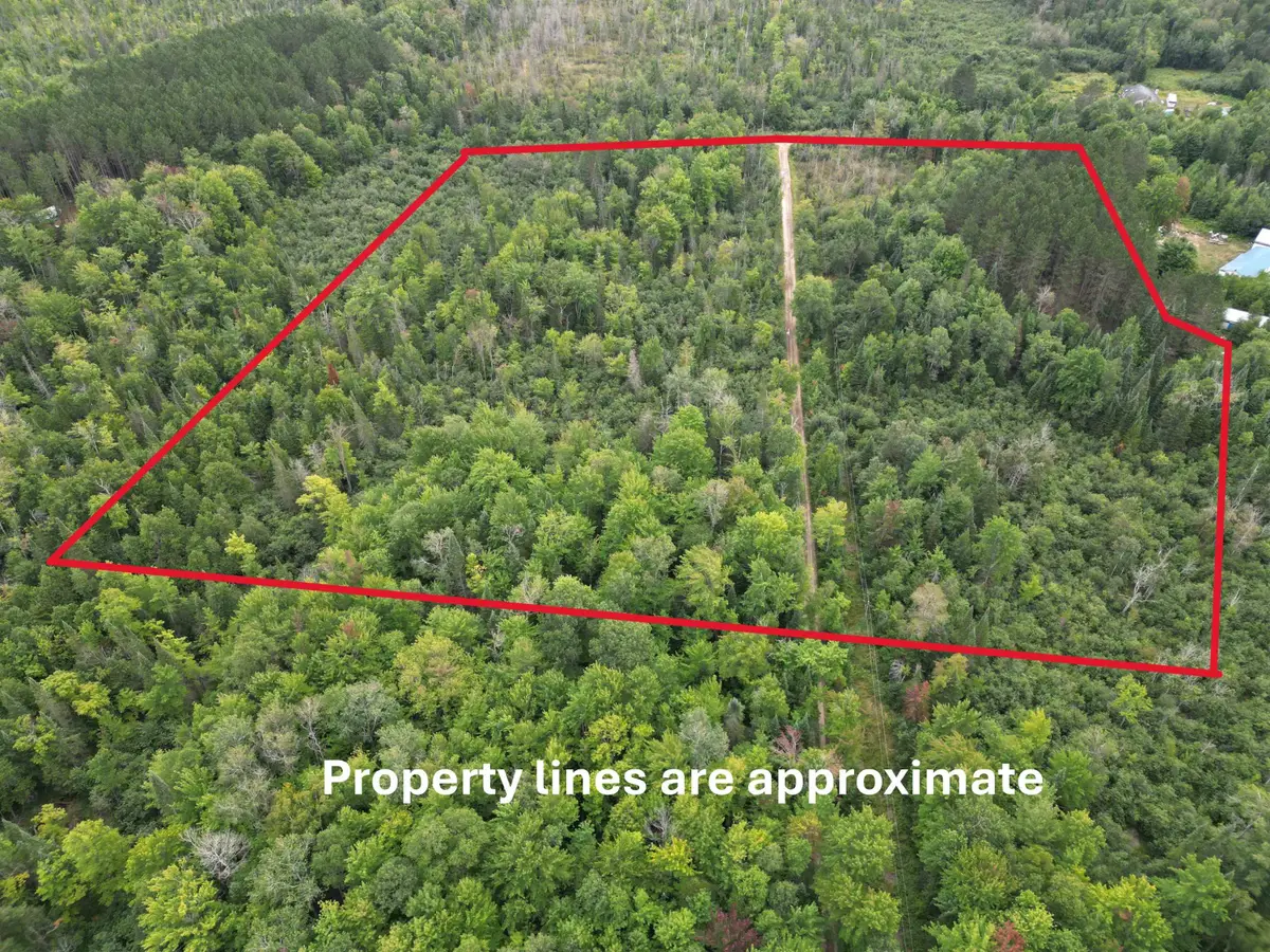 10.11 Acres Golden Road, SE, Kalkaska, MI 49646 - #1