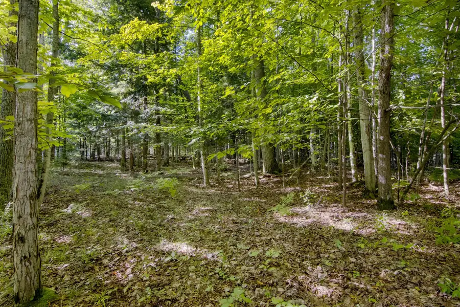 #2 Aspen TRL, Kewadin, MI 49648 - #3