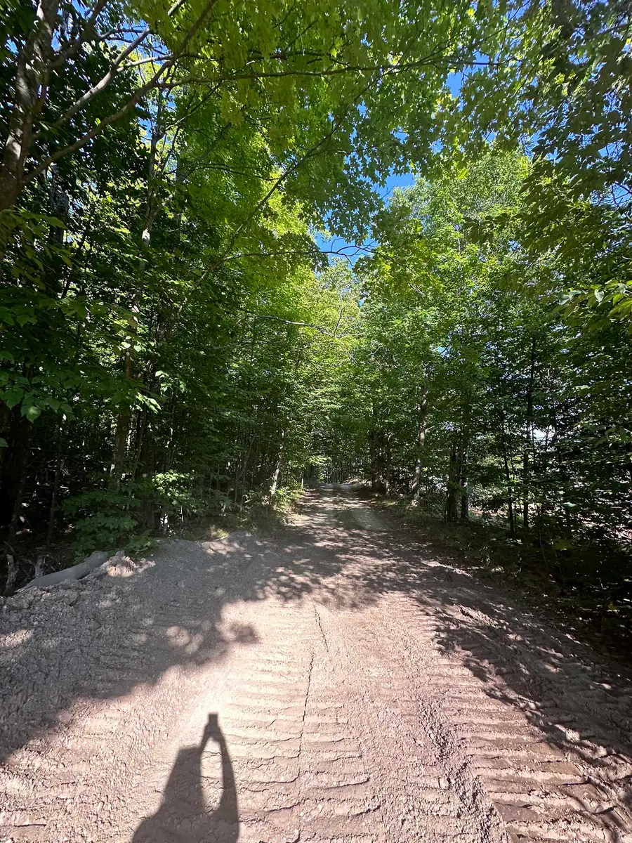 00 Hansel Strause E, Bellaire, MI 49615 - #3