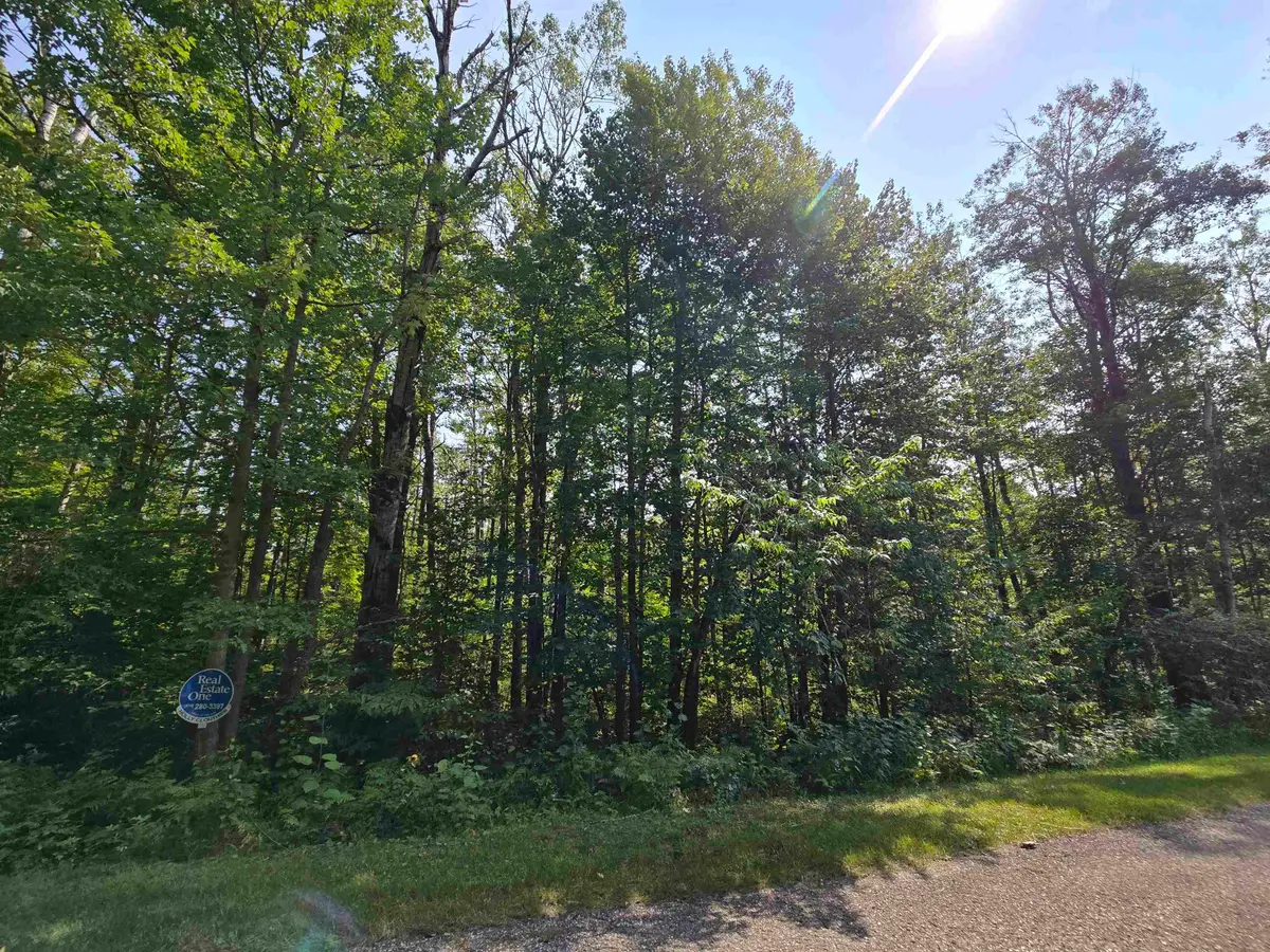 1617 Springdale, Elmira, MI 49730 - #1
