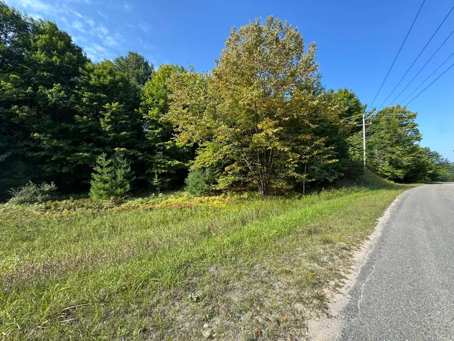 Lot 5 E Old Mountain RD, Cedar, MI 49621 - #3