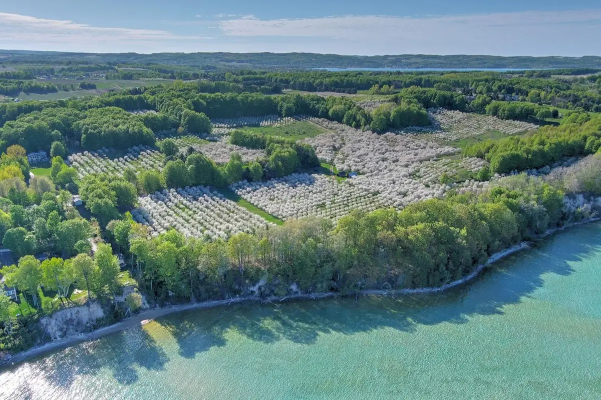 S Lee Point, Bingham, MI 49682 - #1