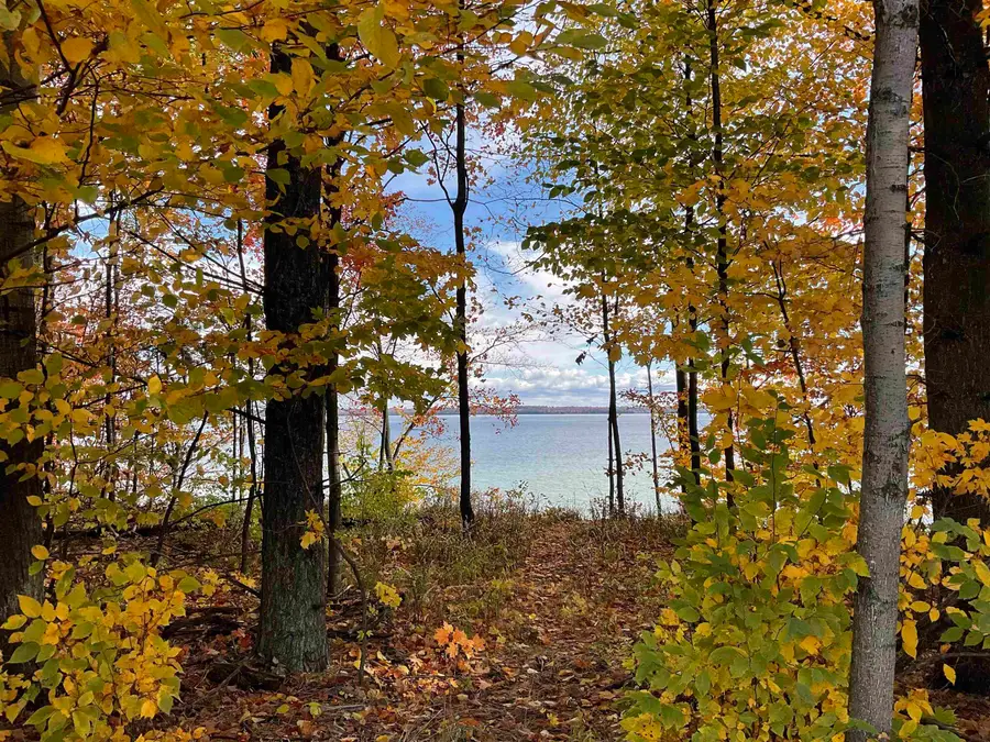 S Lee Point, Bingham, MI 49682 - #3
