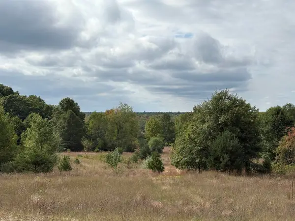 7267 S Snyder RD, FifeLake, MI 49633