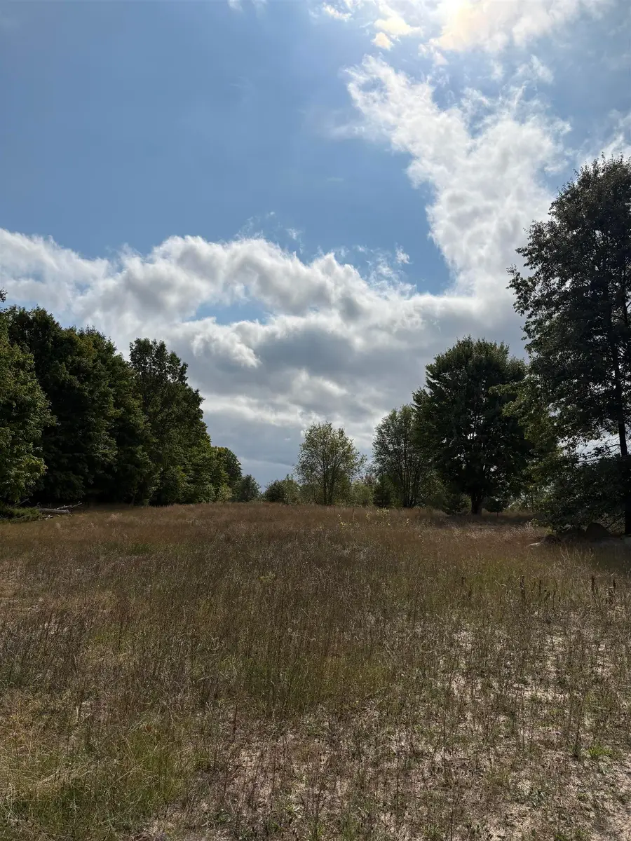7267 S Snyder RD, Springfield, MI 49633 - #2