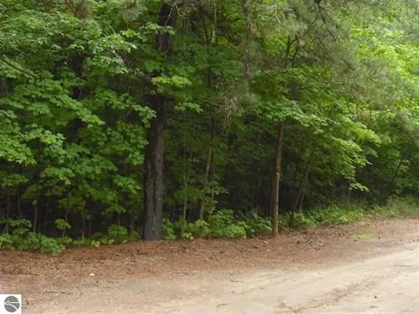Parcel F4 Jackson Creek, Kingsley, MI 49649