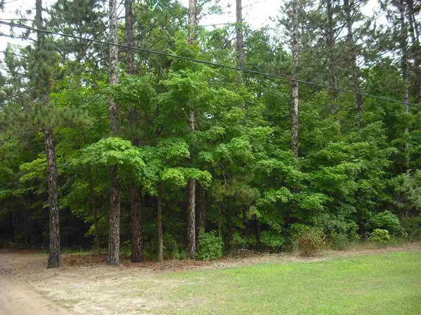 Parcel F3A Jackson Creek, Kingsley, MI 49649