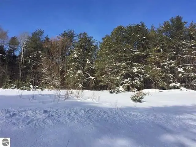 Parcel F3A Jackson Creek, Kingsley, MI 49649 - #3