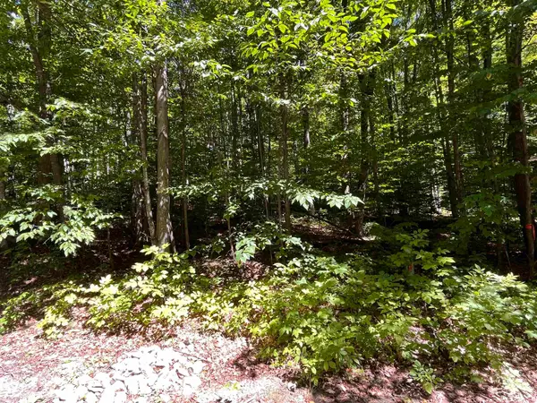 Lot 70 N Klaffen Strasse, Bellaire, MI 49615
